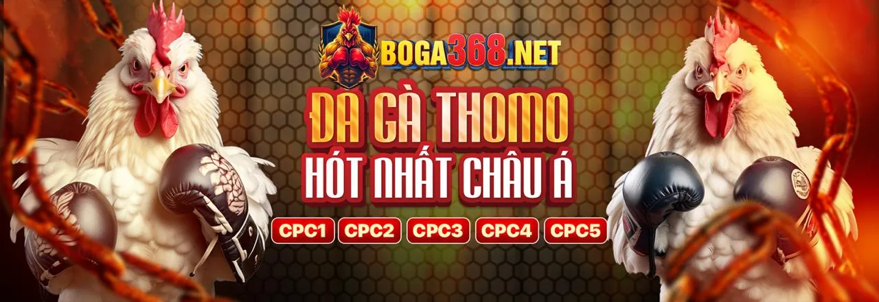 Đá Gà Trực Tuyến rongvang68 login