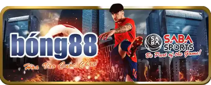 Sự kiện và giải đấu